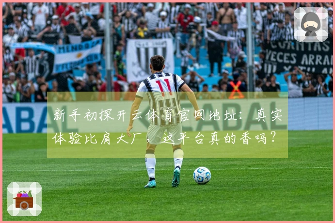 新手初探开云体育官网地址：真实体验比肩大厂，这平台真的香吗？