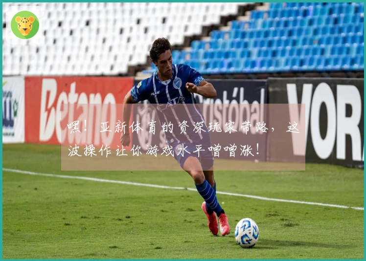 嘿！亚新体育的资深玩家带路，这波操作让你游戏水平噌噌涨！