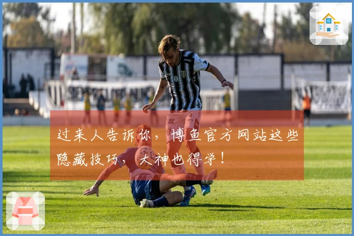 过来人告诉你，博鱼官方网站这些隐藏技巧，大神也得学！