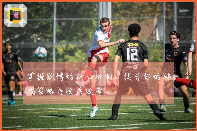 掌握欧博的核心机制，提升你的游戏策略与收益效率