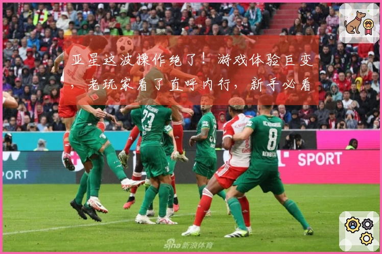 亚星这波操作绝了！游戏体验巨变，老玩家看了直呼内行，新手必看攻略！